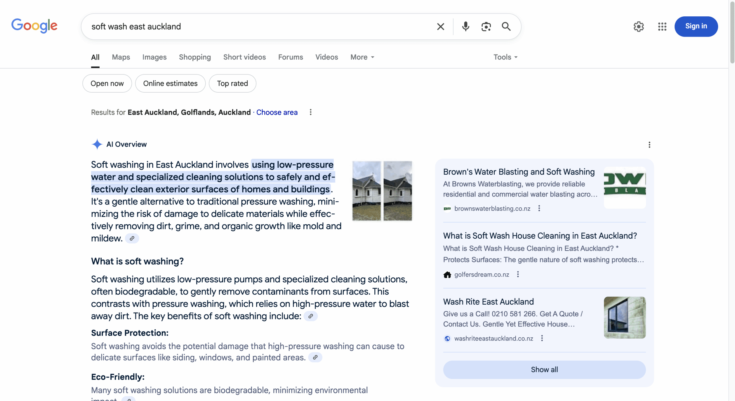 Google Search - AI Overview Results